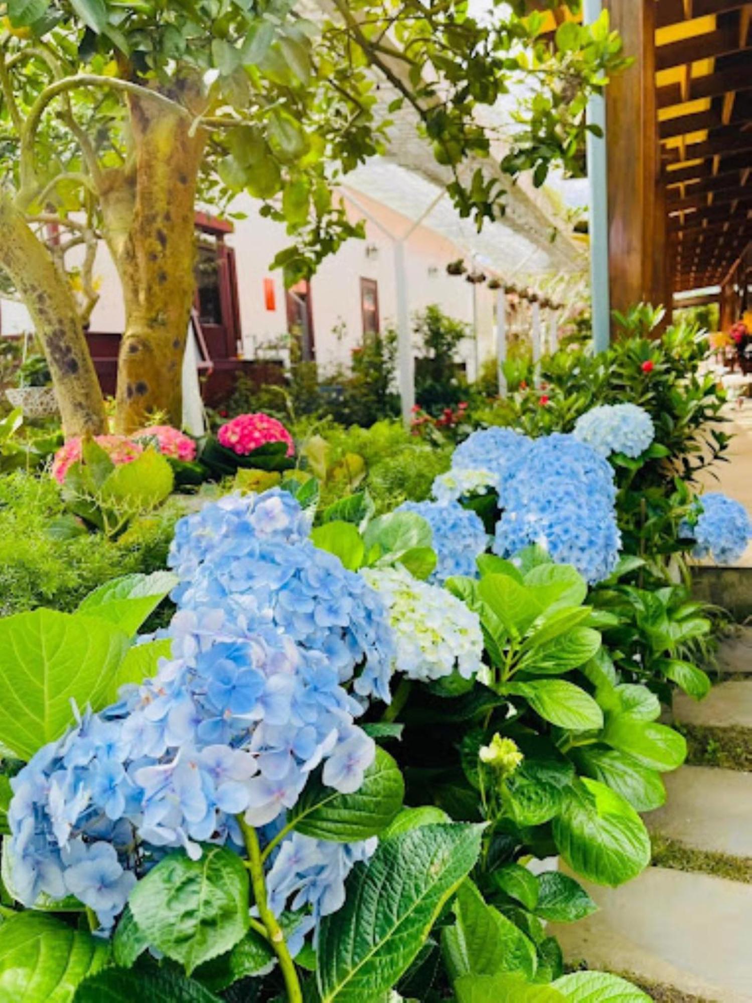Vuon Tra Homestay Mang Den Kon Von Kla Ngoại thất bức ảnh