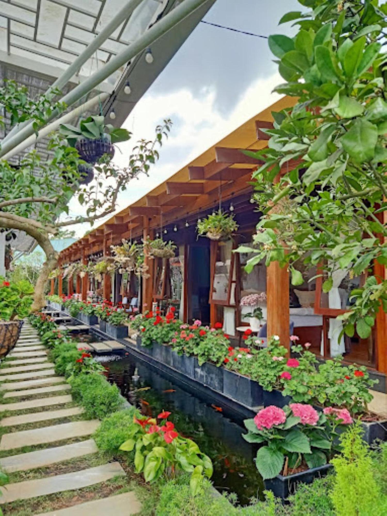 Vuon Tra Homestay Mang Den Kon Von Kla Ngoại thất bức ảnh